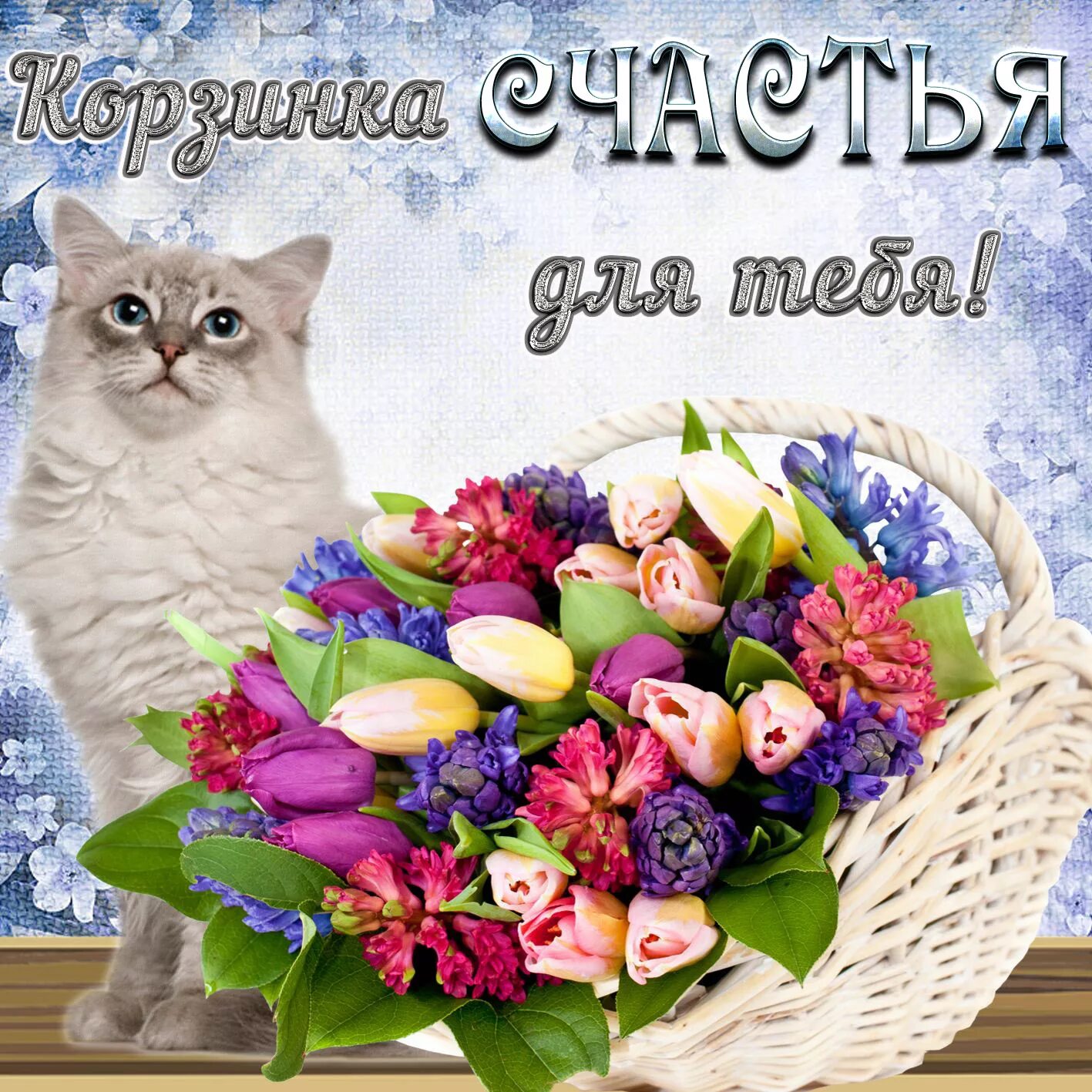 Красивые разные картинки с пожеланием Открытка - котик и корзинка счастья для тебя