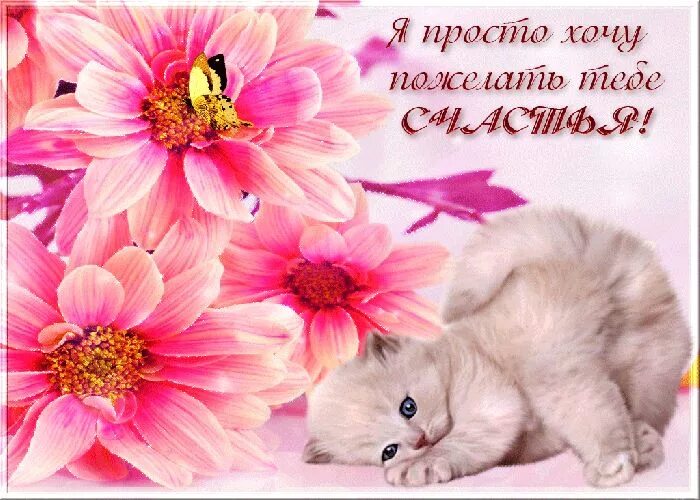 Красивые разные картинки с пожеланием Красивые картинки с добрыми пожеланиями - Открытки и картинки бесплатно