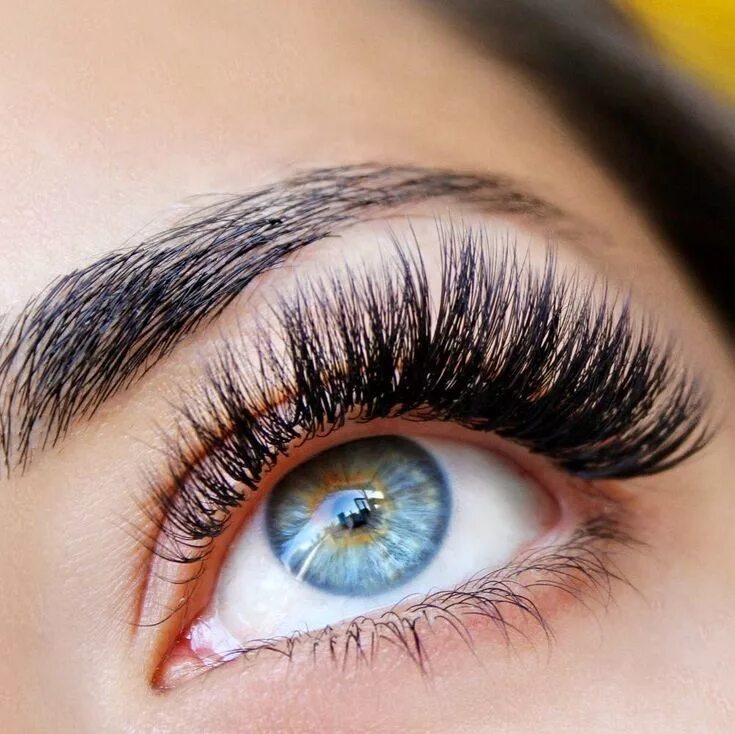 Красивые ресницы наращивание виды фото и названия Just some light Russian Volume Lashes #lashjoy #volumelashes #russianvolume Russ
