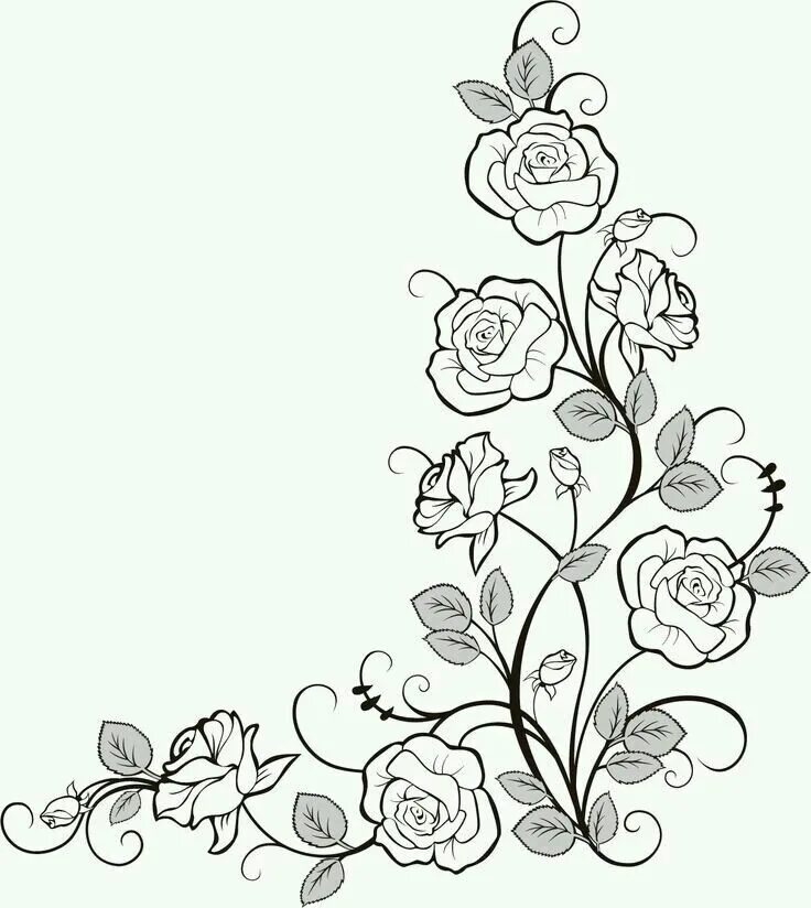 Красивые рисунки для оформления Pin by Leyla Altun Özşenol on Desen Drawing borders, Roses drawing, Flower doodl