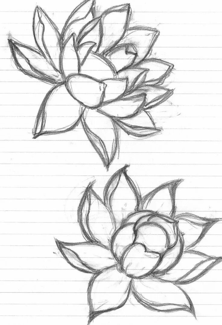 Красивые рисунки простые фото Pin de Catie Maves em Tattoos Flor de lótus desenho, Desenhos de tatuagem de flo