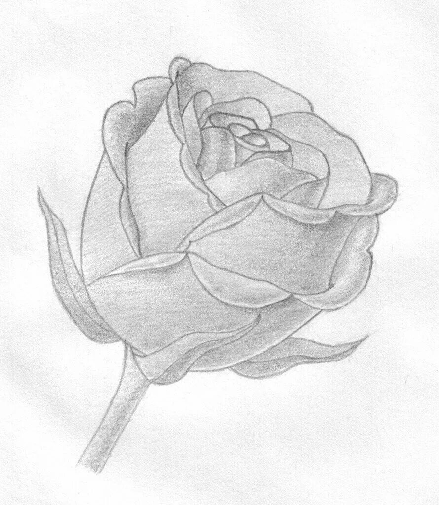 Красивые рисунки простые фото Рисунки для сравнения Pencil drawings of flowers, Pencil drawings tumblr, Pencil