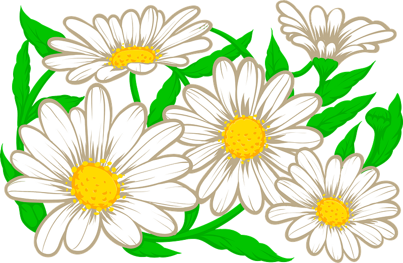 Красивые ромашки для оформления Daisy - Free vector clipart images on creazilla.com