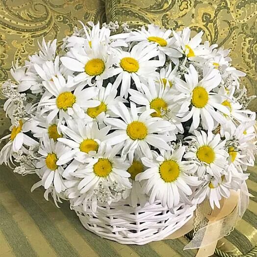 Красивые ромашки с днем рождения фото Корзина с ромашками, Flowers & Gifts Belgorod, buy at a price of 6000 RUB, Flowe