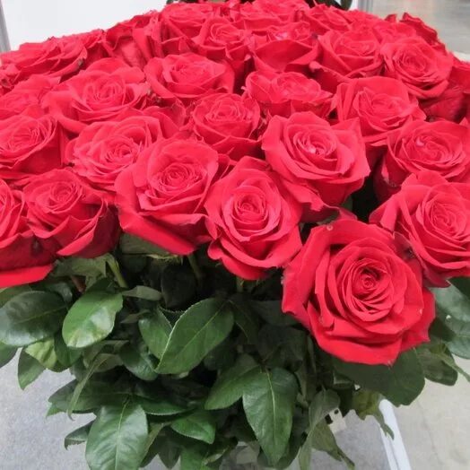 Красивые розы букеты фото настоящие Роза красная страсть 70, Flowers and presents Moscow, buy at a price of 8494 RUB