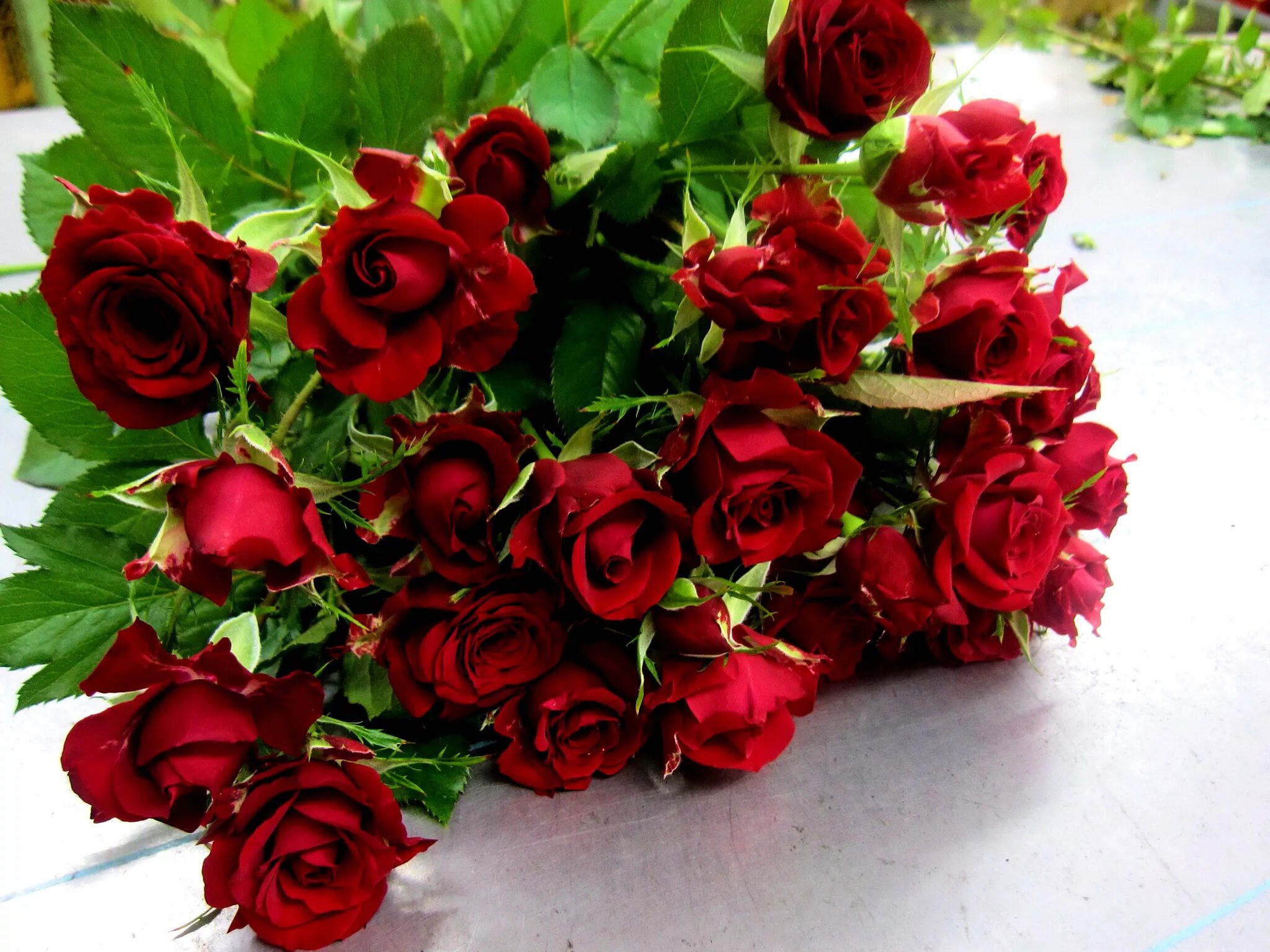 Красивые розы фото HD desktop wallpaper: Flowers, Flower, Rose, Earth, Red Rose, Red Flower downloa