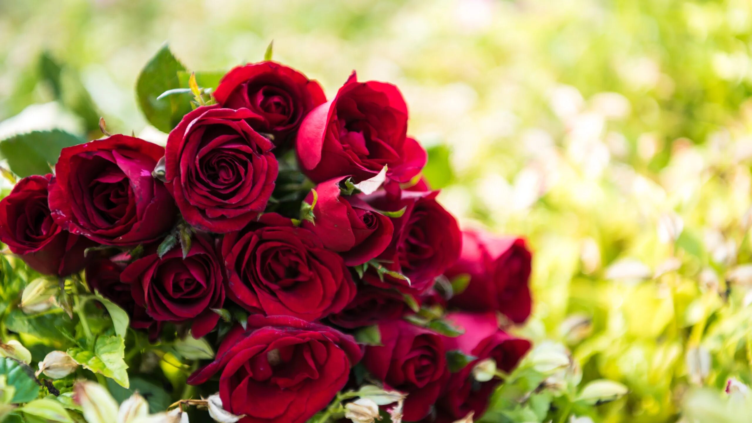 Красивые розы фото хорошего Скачать обои букет, red, wood, romantic, roses, красные розы, раздел цветы в раз