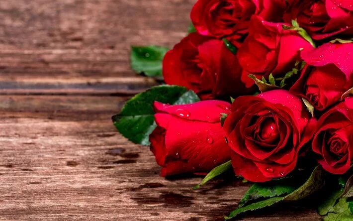 Красивые розы фото хорошего качества бесплатно Download wallpapers red roses, drops on petals, buds red roses, romance, beautif
