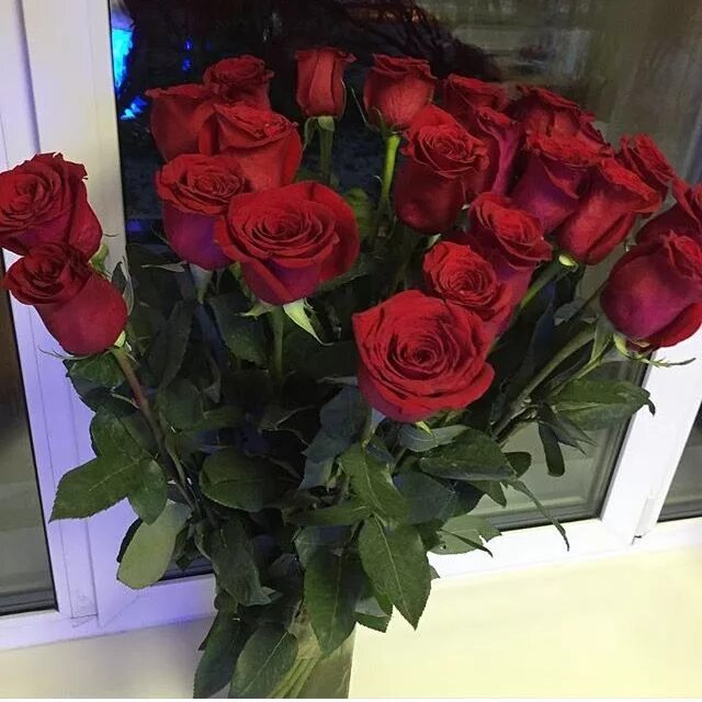 Красивые розы реальные фото Pin by EMILY on pretty lil things. Winter flower arrangements, Love rose flower,