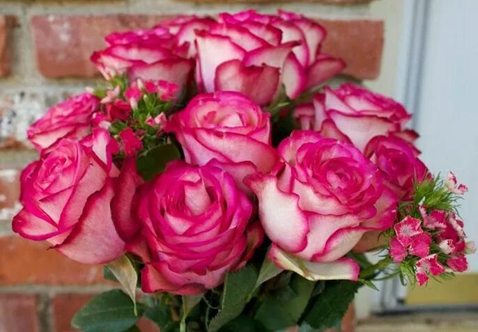 Красивые розы реальные фото Wonders of the World - Beautiful Pictures - Community - Google+ Beautiful bouque