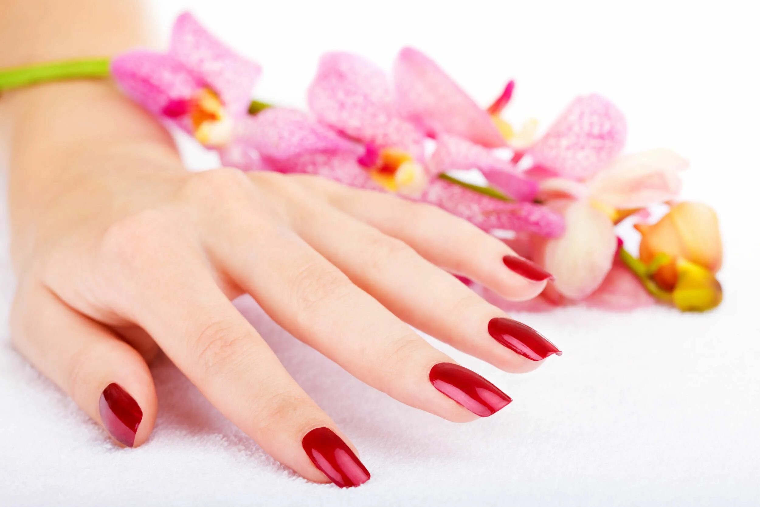 Красивые руки в домашних условиях фото Amazing Nails. Willing to Have that Kind of Art on Your Nails? Come, Visit and l