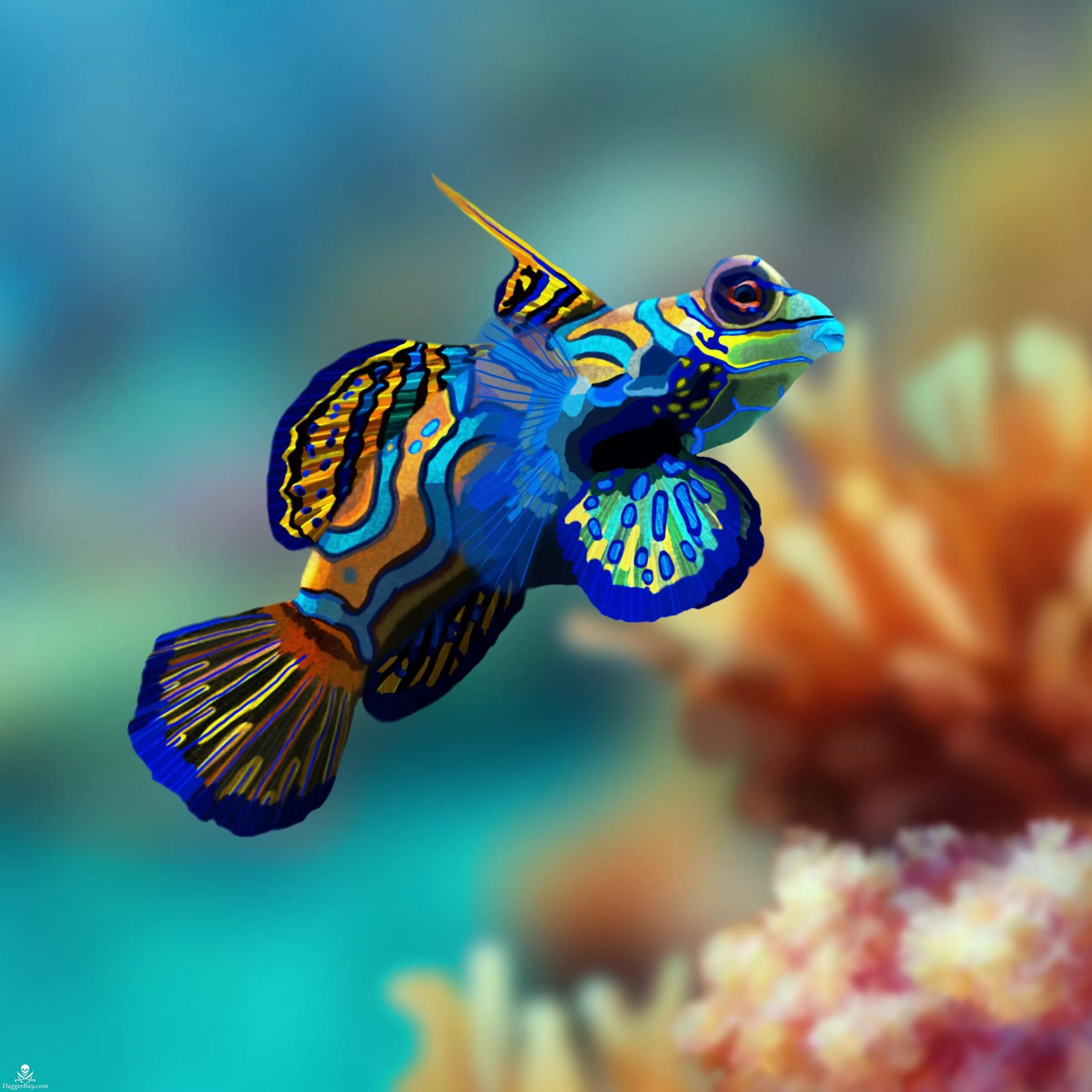 Красивые рыбки фото название Great Barrier Reef Mandarinfish by pamelap Beautiful sea creatures, Sea fish, Fi