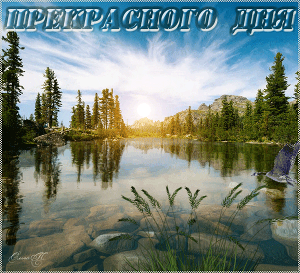 Красивые с природой фото с добрым утром Открытки с пожеланием удачного дня. Добрый день друзья!