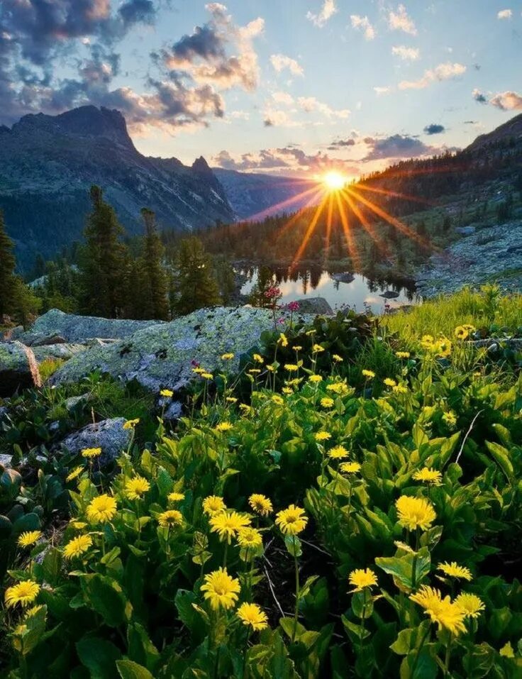 Красивые с природой фото с добрым утром Sunrise at Krasnoyarsk Region, Russia (With images) Beautiful nature, Beautiful 