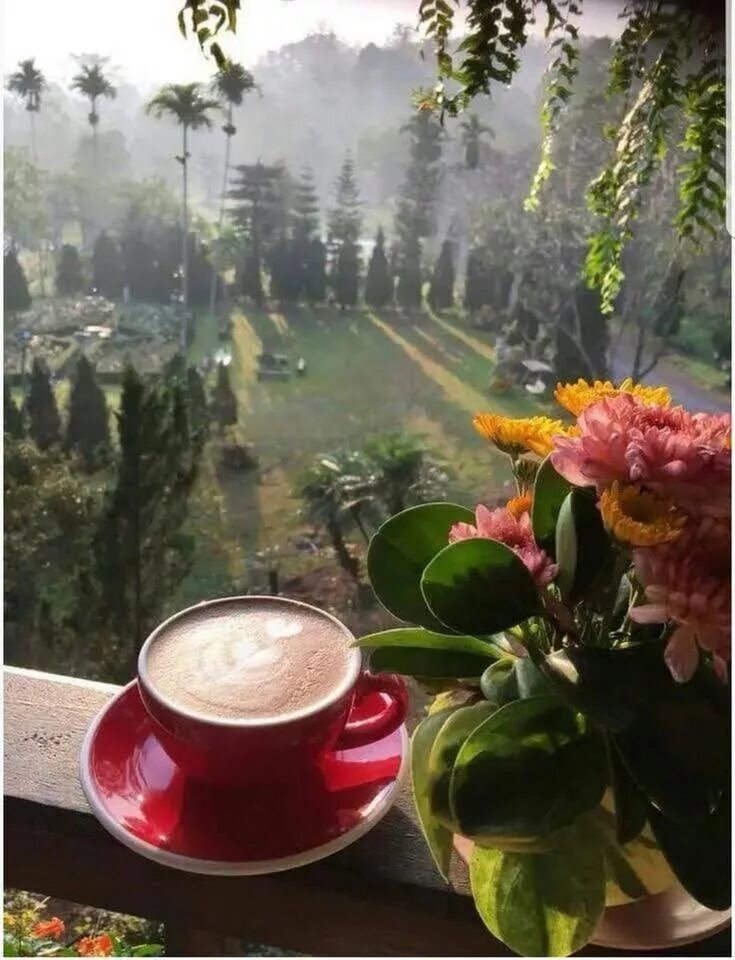 Красивые с природой фото с добрым утром Pin by Pascale Clerie on Breakfast, Coffee, Tea and Dinner in wonderful places(I