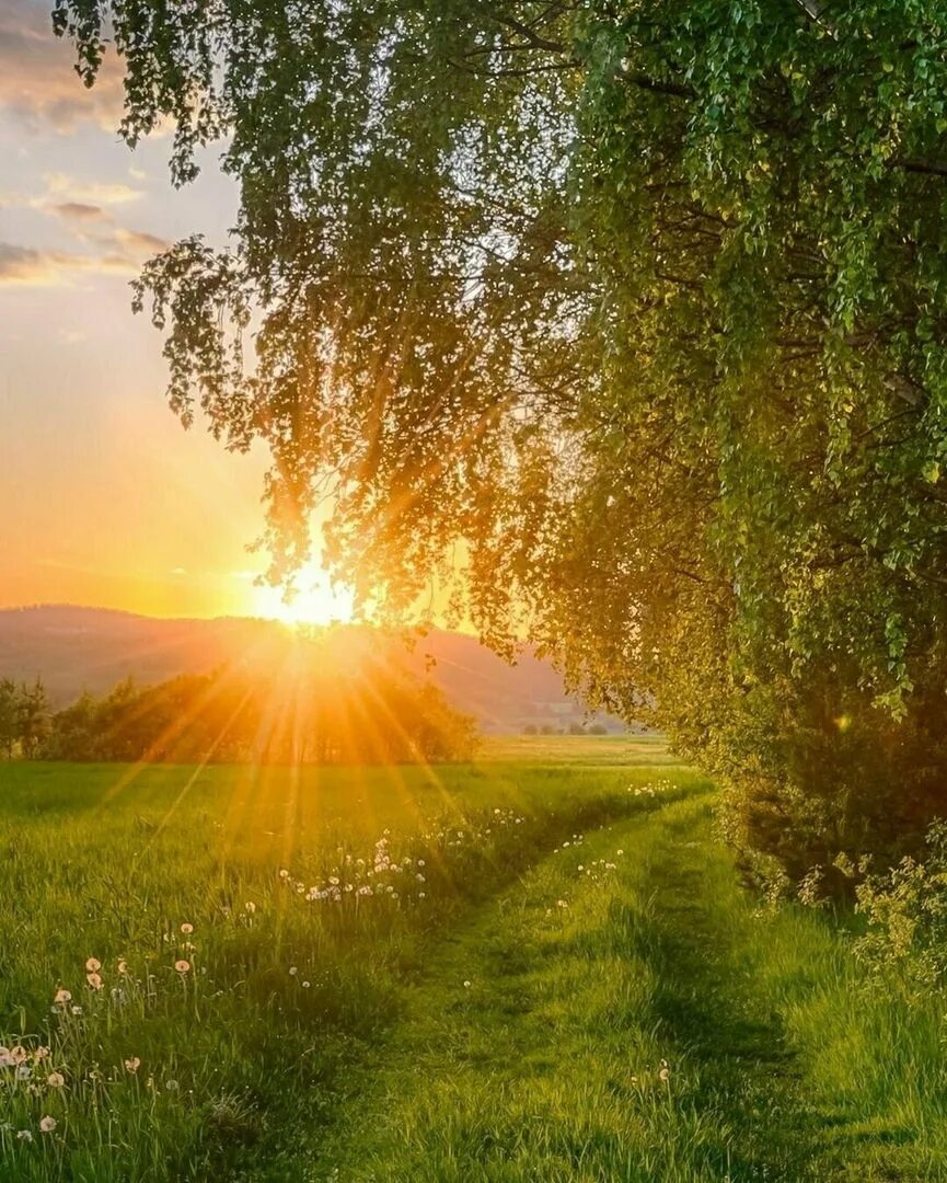 Красивые с природой фото с добрым утром ВРЕМЕНА ГОДА**ВЕСНА...Природа ВКонтакте Landscape photography nature, Beautiful 