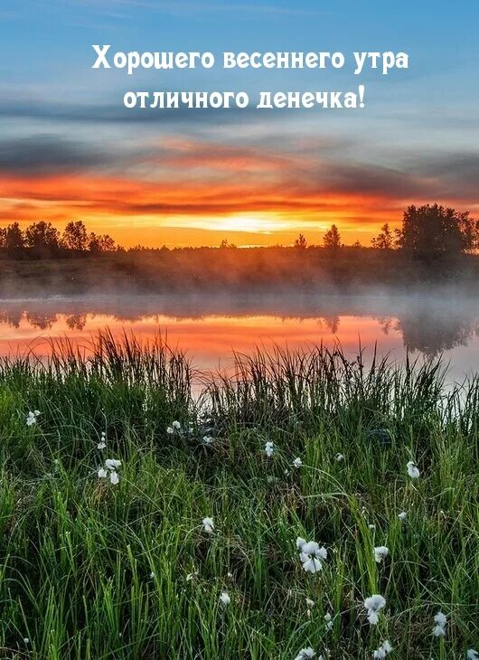 Красивые с природой фото с добрым утром Картинки "Доброе весеннее утро!" (255 шт.