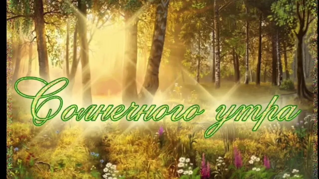 Красивые с природой фото с добрым утром Самое красивое пожелание Доброго утра! ☀ - YouTube