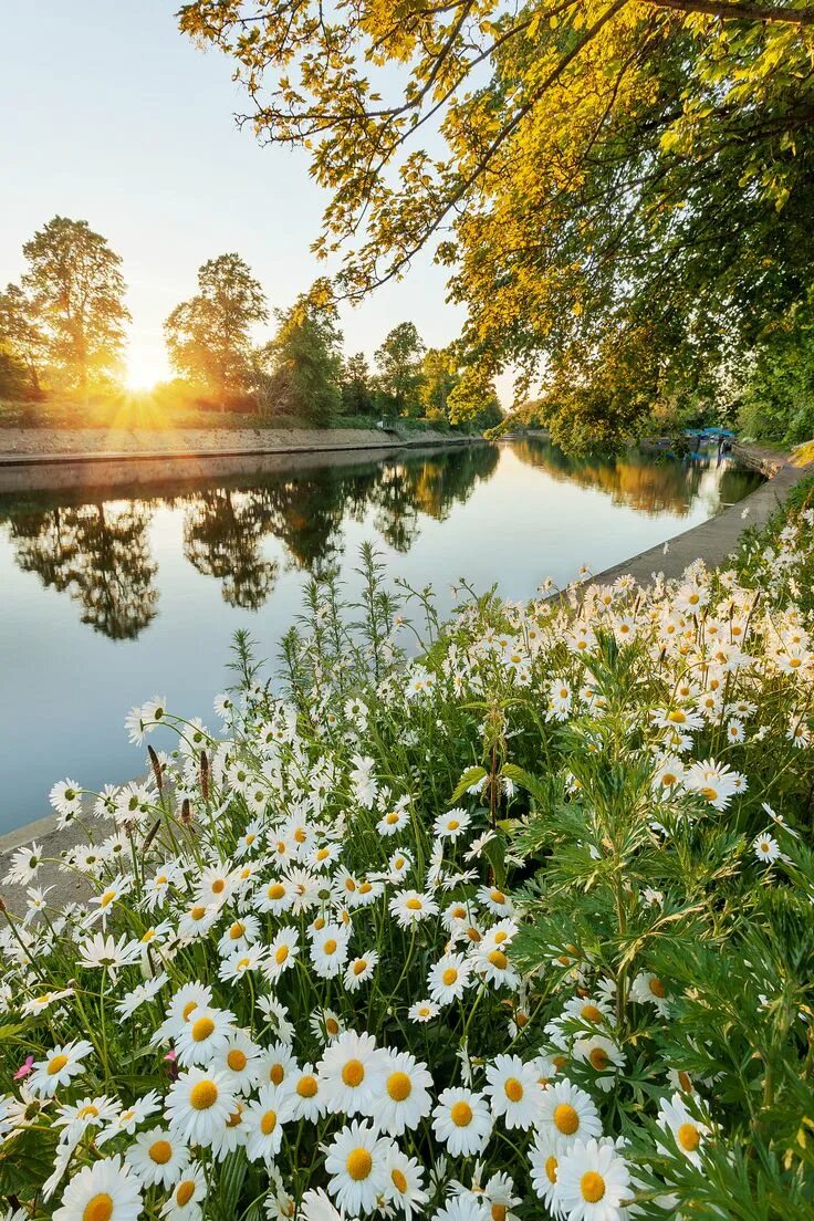 Красивые с природой фото с добрым утром York In Bloom Пейзажи, Живописные пейзажи, Картины пейзажа