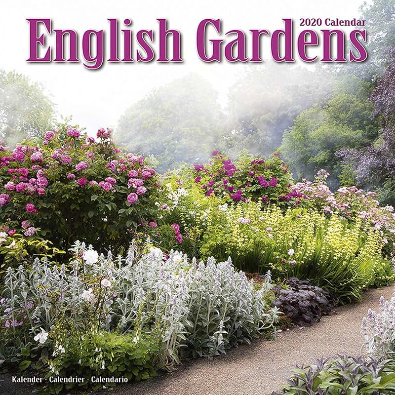 Красивые садовые цветы фото Amazon.com: Wall Calendar 2019-2020