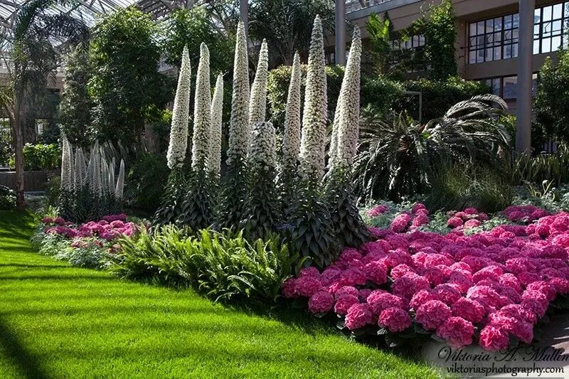Красивые садовые цветы фото Pin by Ирина Николаевна on сад Garden styles, Beautiful gardens, Garden design