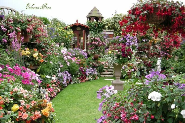 Красивые садовые цветы фото Tổng hợp hình ảnh vườn hoa đẹp nhất Beautiful gardens, Garden styles, Beautiful 
