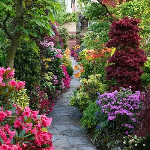 Красивые садовые цветы фото Pathway through the spring middle garden Beautiful gardens, Gorgeous gardens, Ga