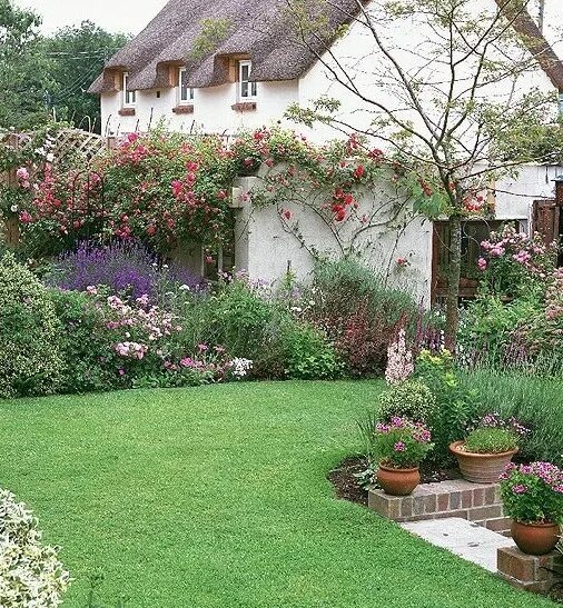 Красивые сады и дачные участки фото Traditional summer planting housetohome.co.uk English cottage garden, Cottage ga