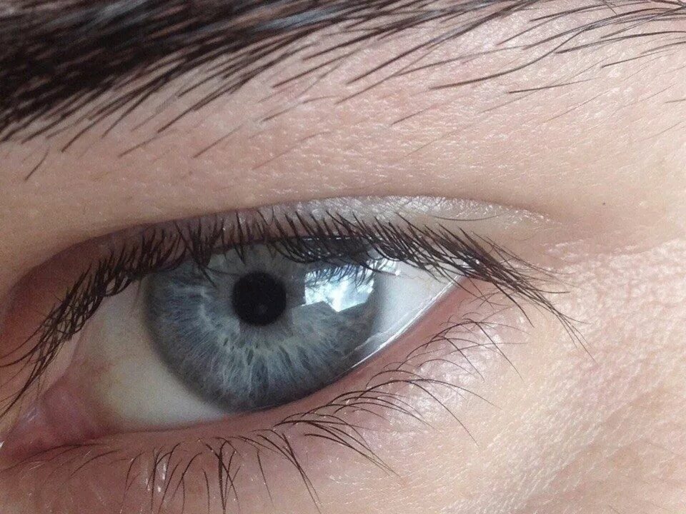 Красивые серые глаза фото Pin by Diacvi on Глаза Eyes Gray eyes, Aesthetic eyes, Eye photography
