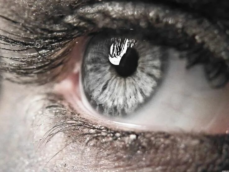 Красивые серые глаза фото Silver picture, by dem90 for: eye closeup photography contest Gray eyes, Eyes, A