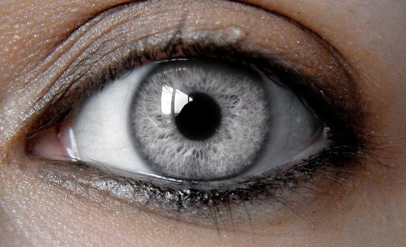 Красивые серые глаза фото white eye by Kramnhojpapermario on DeviantArt White eyes, Cool eyes, Gray eyes