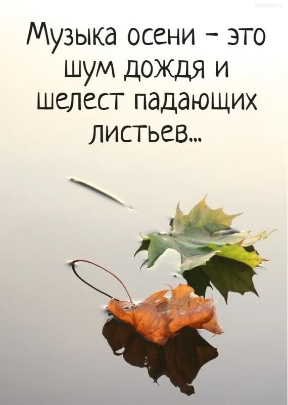 Красивые слова про осень короткие для фото #Цитаты #Афоризмы #Высказывания 2023 Разум сердца ВКонтакте