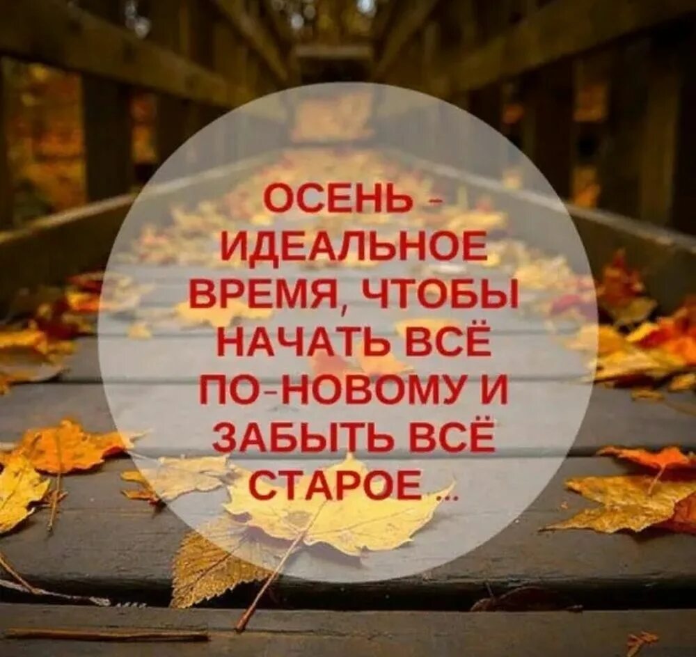 Красивые слова про осень короткие для фото добрым называют человека который - 25 рекомендаций на Babyblog.ru