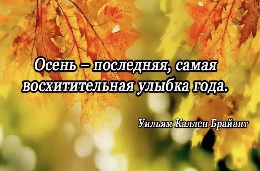 Красивые слова про осень короткие для фото ПРИВЕТСТВИЯ и ПОЖЕЛАНИЯ, открытки на каждый день. - 28 августа 2021 в 10:04