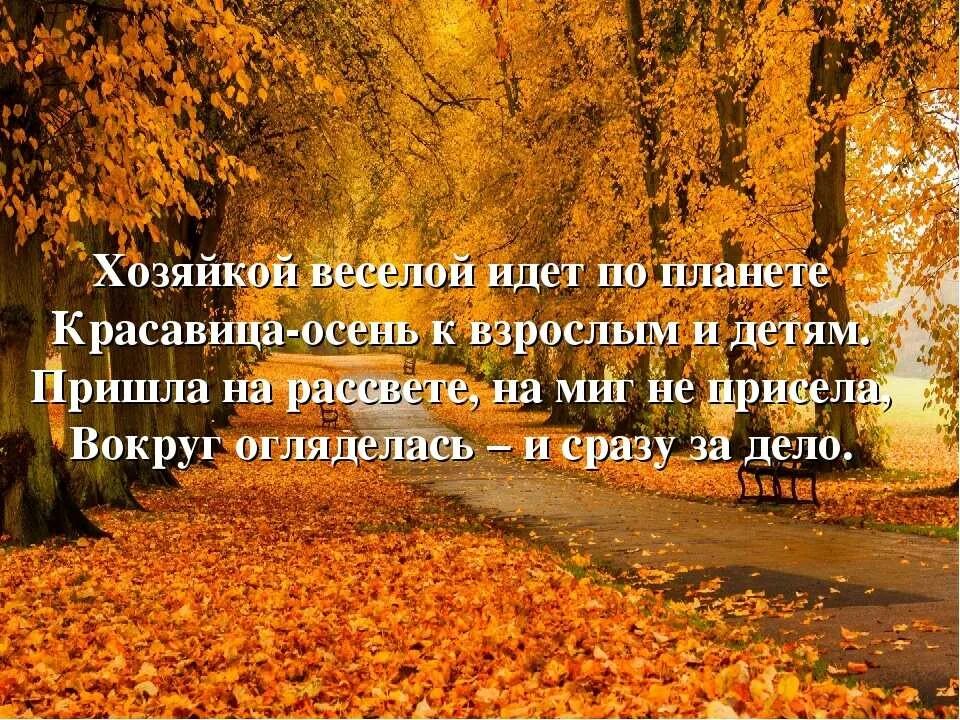 Красивые слова про осень короткие для фото Профиль пользователя Александр Метла