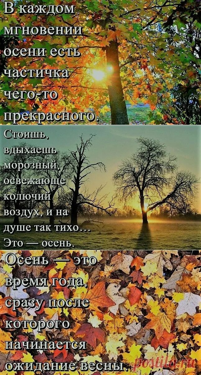 Красивые слова про осень короткие для фото Pin på времена года