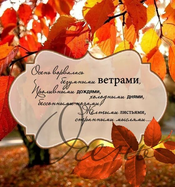 Красивые слова про осень короткие для фото День недели понедельник. - Просто ДОБРОЕ УТРО , пользователь Людмила Далингер Гр