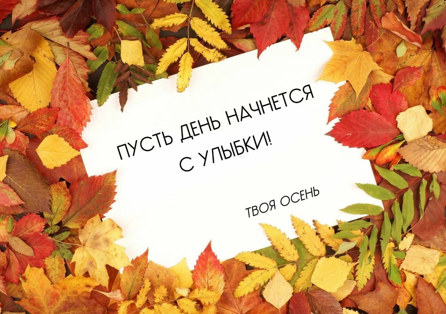 Красивые слова про осень короткие для фото "МБДОУ № 11" нп. Луостари Мурманской области Новости