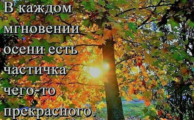 Красивые слова про осень короткие для фото Шегарская межпоселенческая централизованная библиотечная система Новости