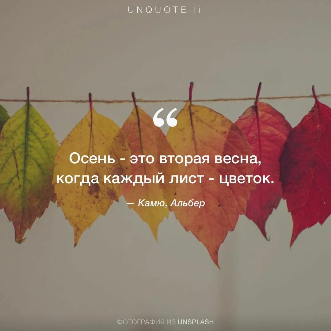 Красивые слова про осень короткие для фото Камю, Альбер "Осень - это вторая весна, когда каждый лист - цветок." Цитаты для 