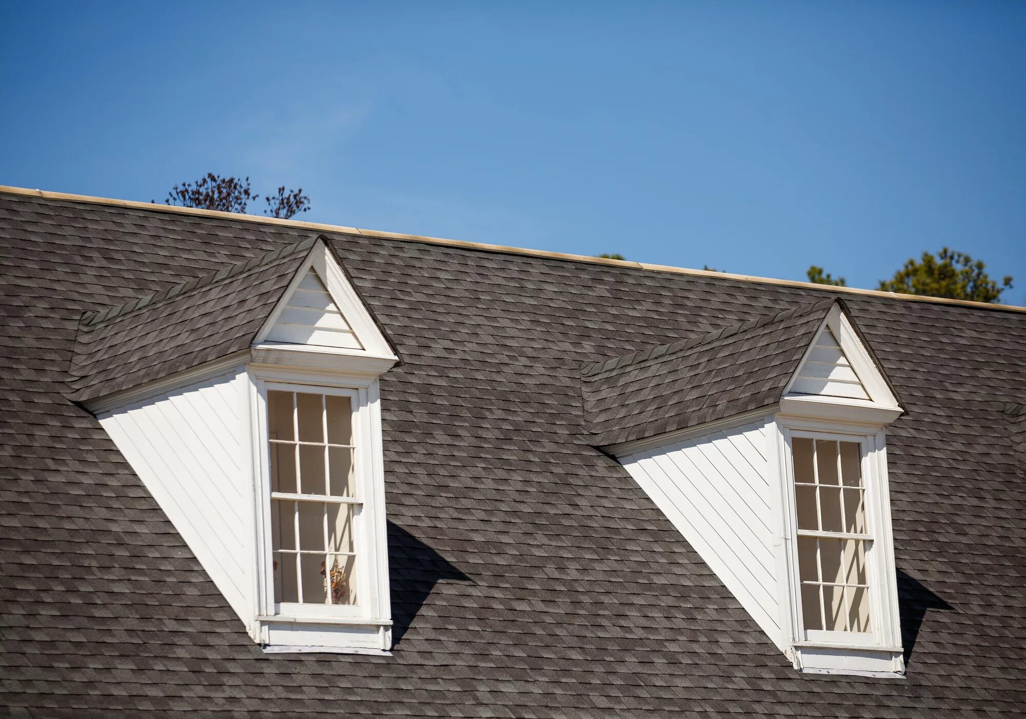 Красивые слуховые окна на крыше фото 7 Common Shingle Types You Need to Know: A Roofing Guide - tastefulspace.com