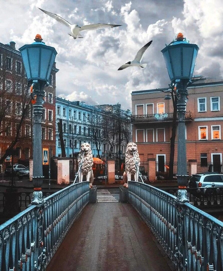 Красивые спб где фото Pin on Санкт-Петербург St petersburg, St petersburg russia, Petersburg