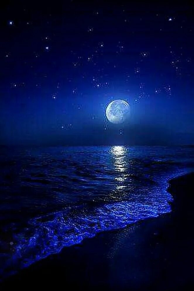 Красивые спокойные фото доброй ночи Joie De Vivre! The Best Things In Life are Free! Ocean at night, Nature photogra