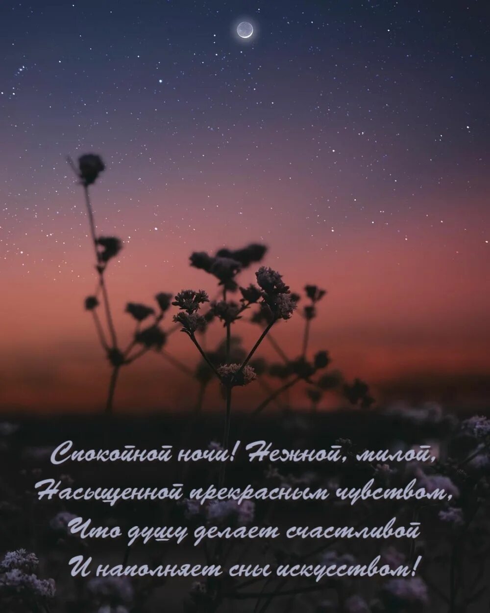 Красивые спокойные фото доброй ночи Картинки с надписью - Спокойной ночи! Нежной, милой.