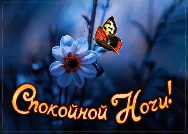 Красивые спокойные фото доброй ночи ВСЕМ - ВСЕМ... - Просто ДОБРОЕ УТРО , пользователь Надежда Прудникова Группы Мой