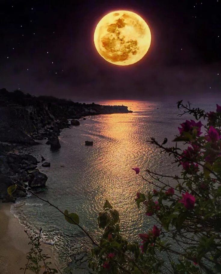 Красивые спокойные фото доброй ночи Kubu Beach, Bali - Indonesia ✨ ❤ ️❤ ️❤ ️✨ Picture by ✨ ✨@dotzsoh ✨ ✨ Good night moo