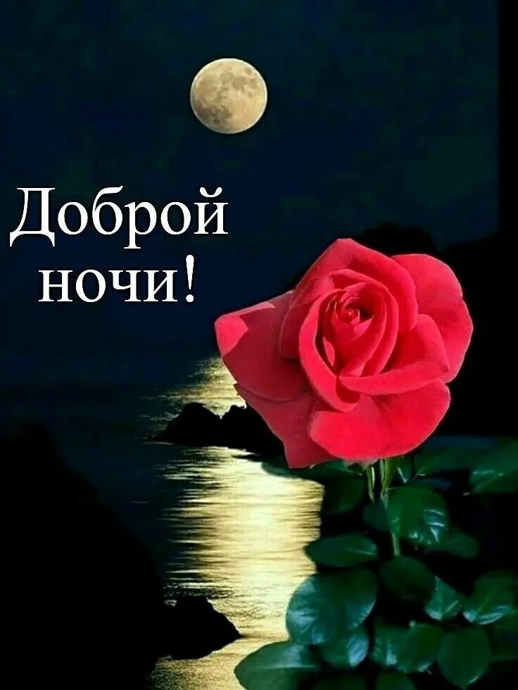 Красивые спокойные фото доброй ночи Pin on Спокойной ночи Lockscreen, Kado