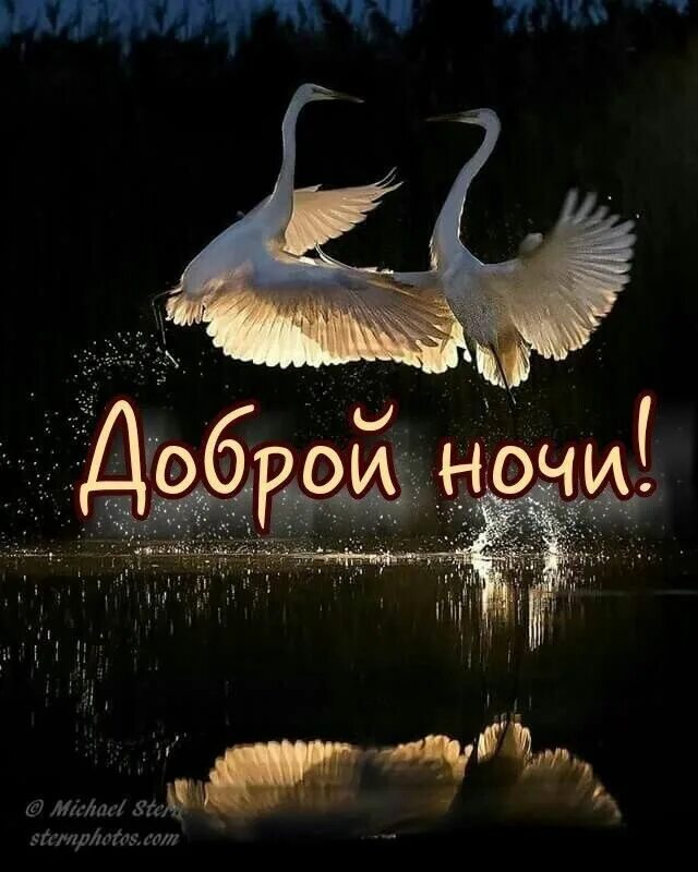 Красивые спокойные фото доброй ночи Pin by Галя Кущнецова on спокойной ночи добрый вечер Good night, Night, Poster