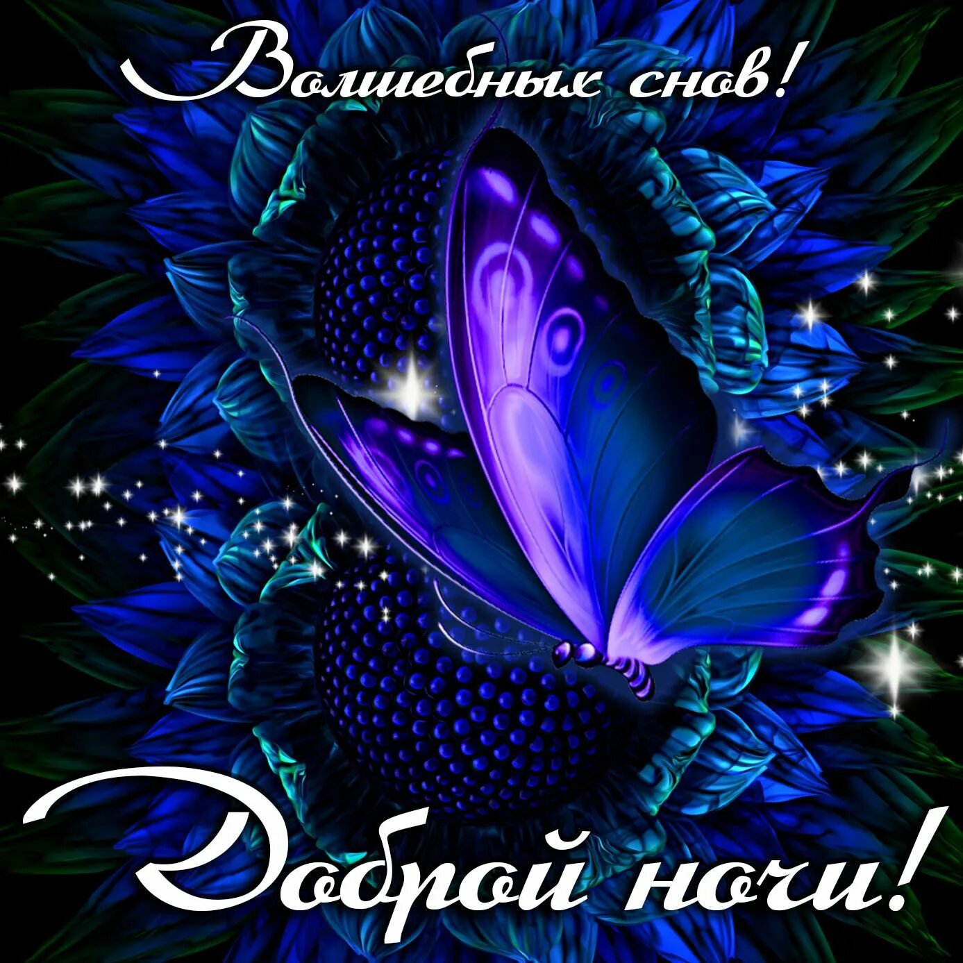 Красивые спокойные фото доброй ночи Открытки спокойной ночи Ночь, Спокойной ночи, Юмор про сон