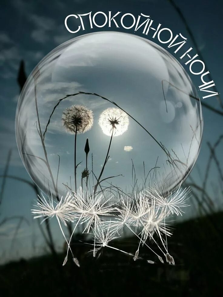 Красивые спокойные фото доброй ночи Pin by Larissa Silitsenko on для души Soulful art, Good night gif, Relaxing musi